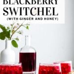 Blackberry Switchel Pinterest Pin