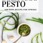 garlic scape pesto pinterest pin
