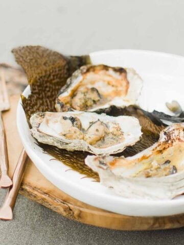 plate of oysters