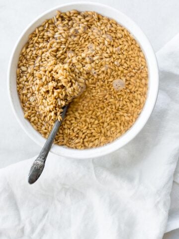 soaked grains