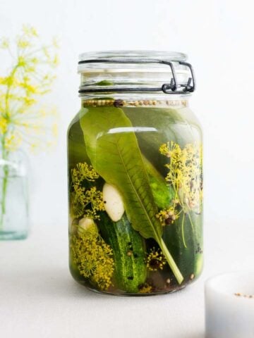 sour dill pickles in a jar