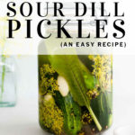 pinterest pin sour dill pickles