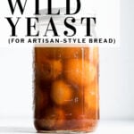 pinterest pin wild yeast in a jar